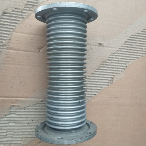321017950 CUELLO