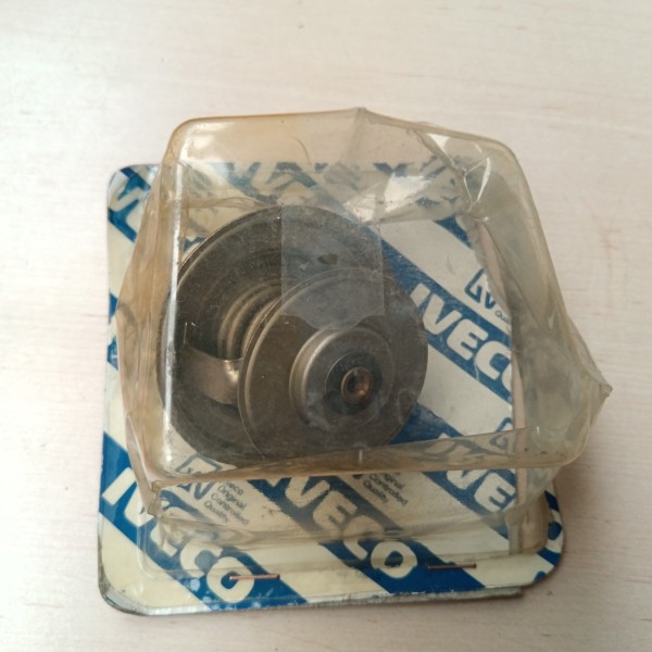 4807492.00 TERMOSTATO
