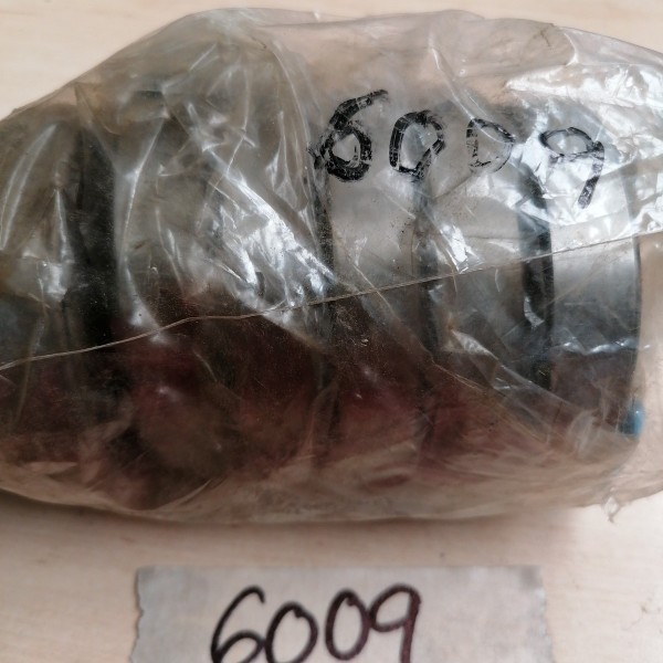 6009 RODAMIENTO