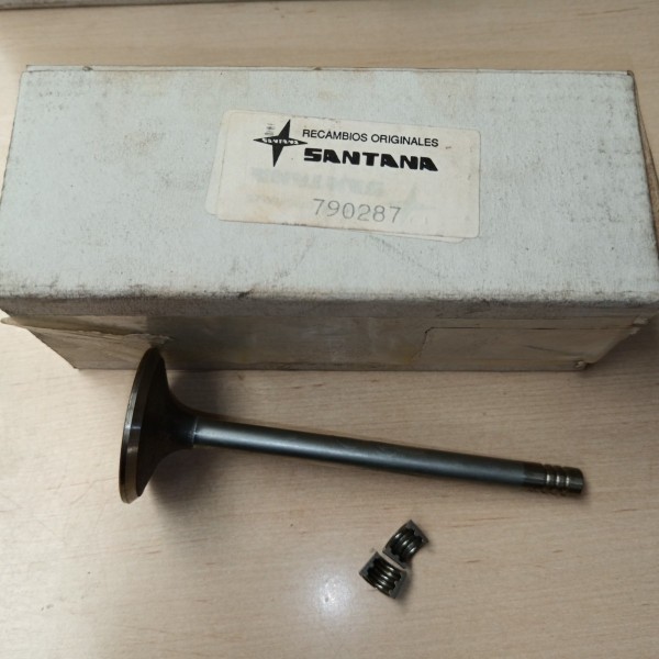 790287 VﾁLVULA ADMISION