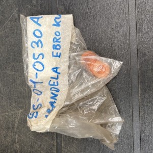 SS-04-0530A ARANDELA
