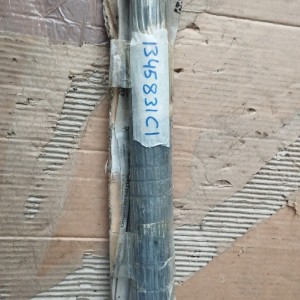 1345831C1 EJE