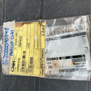 162000010748 ANILLO