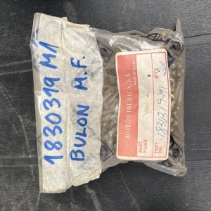 1830319M1 BULON