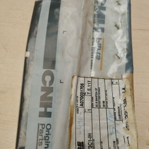 1964873C1 CABUJON