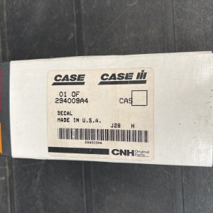 294009A4 PEGATINA