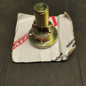300114481 TORNILLO