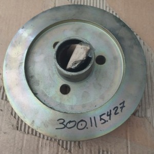 300115427 DISCO