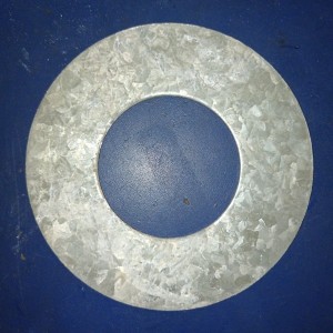 300120563 ARANDELA