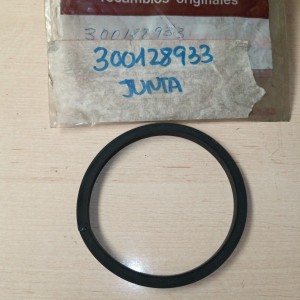 300128933 JUNTA