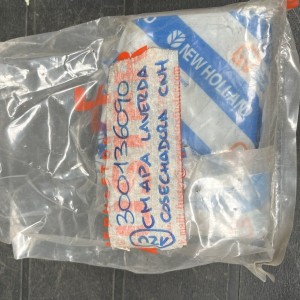 300136090 PLACA