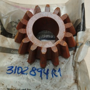 3102894R1 PIﾑON