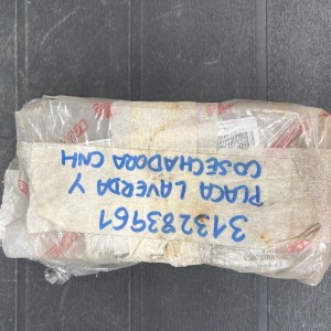 313283961 PLACA