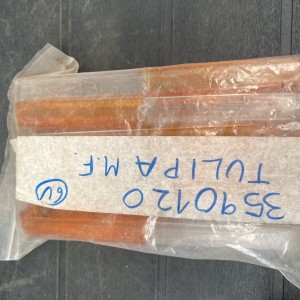 3590120 TULIPA