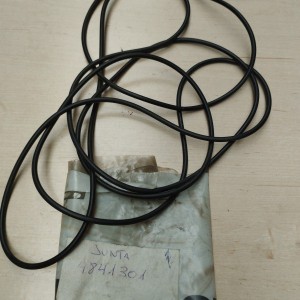 4841301 JUNTA