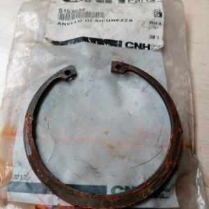 5153034 CIRCLIP