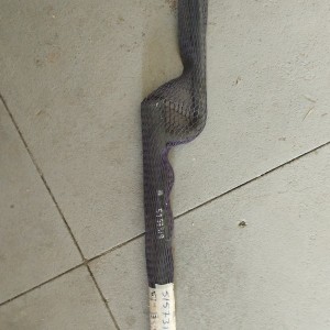 5157319 TUBO ESCAPE CESADO SUMINISTRO