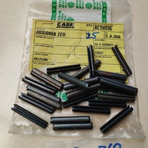 800300868 PASADOR