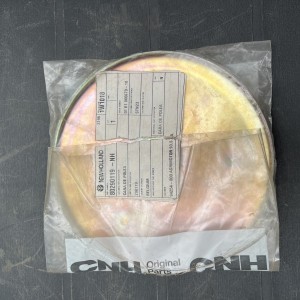 80290119 CARA POLEA