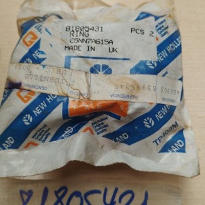 81805431 CASQUILLO