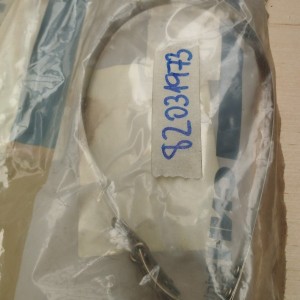 82031973 BRIDA