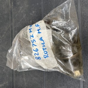 826752 ROTULA
