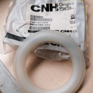 83925656 PROTECCION