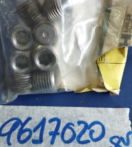 9617020 PERNO (TAPON)