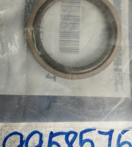 9958575 ANILLO RASCADOR