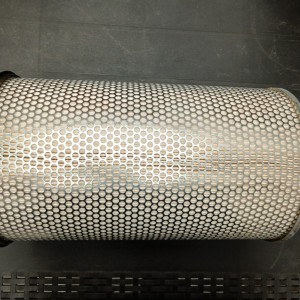 AF4565 FILTRO