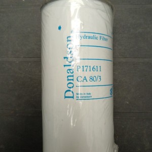P171611 FILTRO